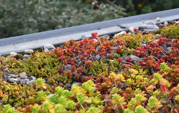 the cost of Moggerhanger green roof installation