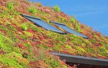 Moggerhanger living roof systems