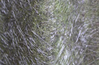 Moggerhanger fibreglass roof work